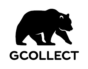 gcollect.fr place picture